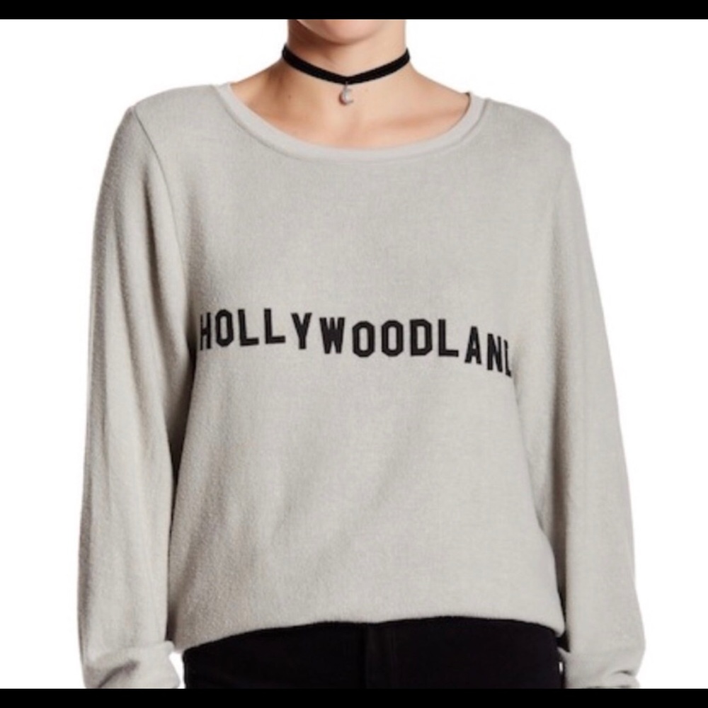 Wild fox jumper